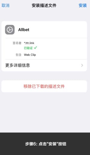 欧博ABG iOS版APP安装流程示意图｜苹果端下载与配置步骤可视化说明6